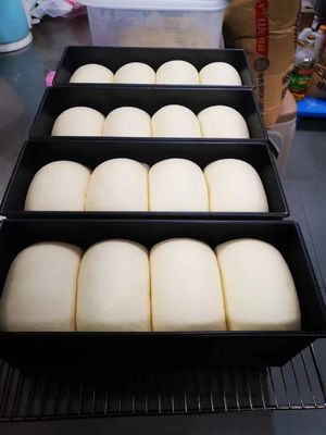 Το Yasur 40 δίσκοι φθάνει στη ζύμη Proofer 40X60cm πιτσών τύπων στη γεννήτρια ατμοπλοίων τύπων πλυσίματος αέρα 2kw