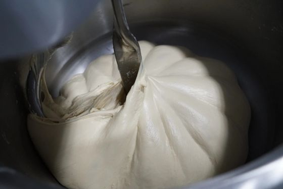 Διπλός ταχύτητας 12.5kg σπειροειδής πιτσών ζύμης αναμίκτης ζύμης μηχανών 25kg αναμικτών ενιαίος